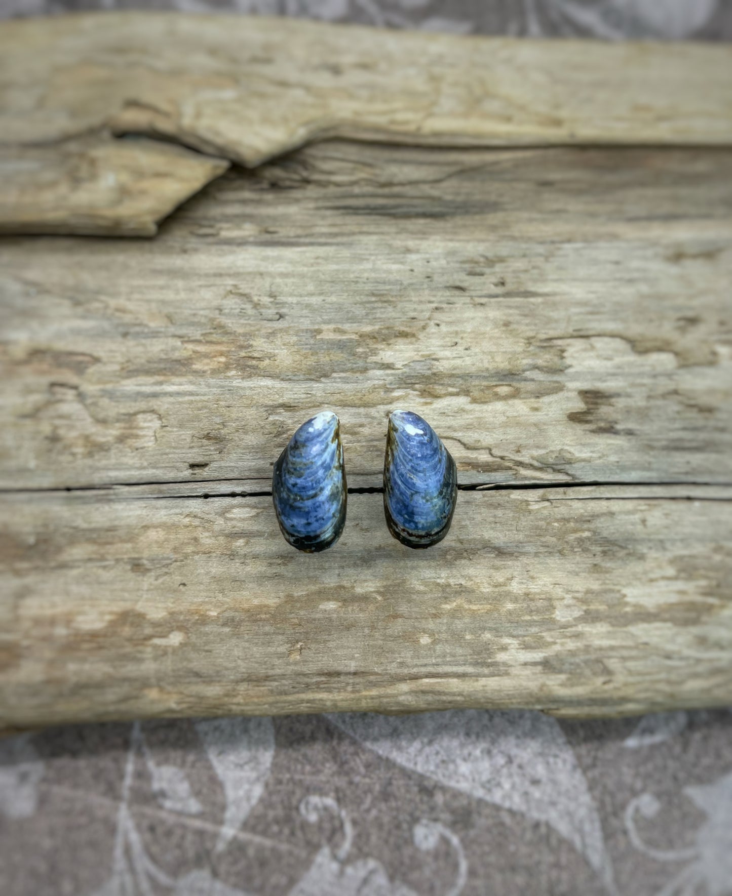 Blue Mussel Stud Earrings