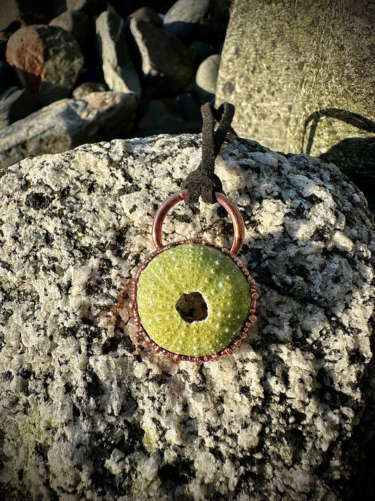 Alaskan Sea Urchin Necklace