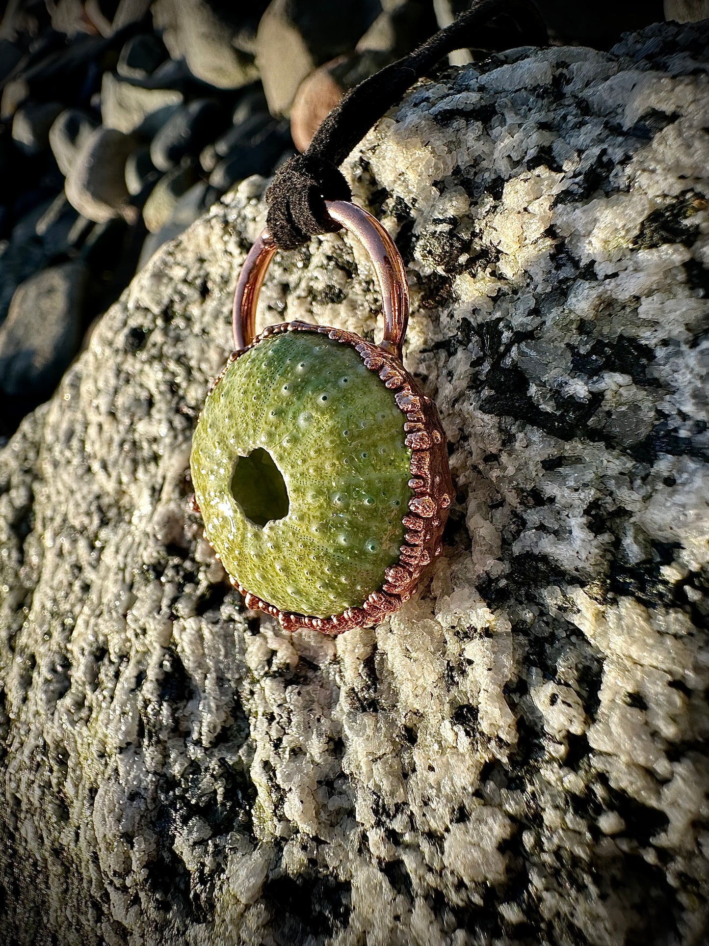 Alaskan Sea Urchin Necklace