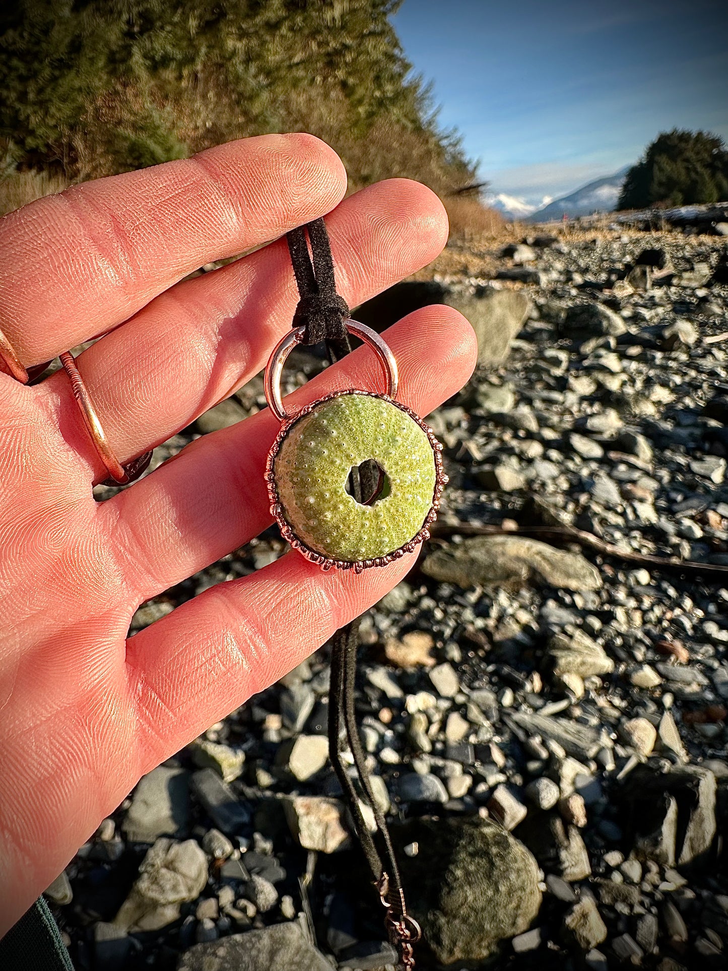 Alaskan Sea Urchin Necklace